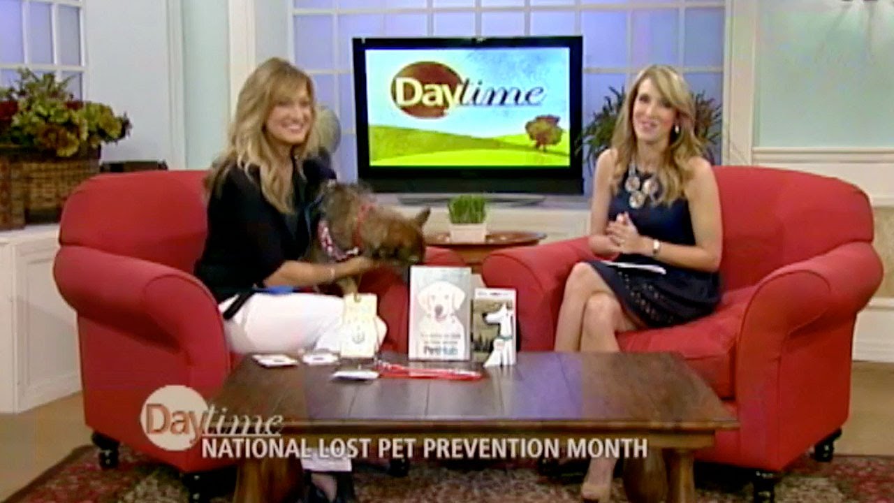 National Lost Pet Prevention Month