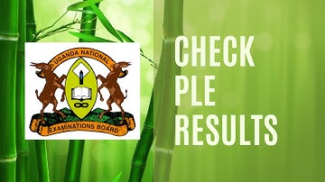 How to Check PLE UNEB Results via Phone