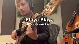 Playa Playa / D&#39;Angelo (Bass Cover)