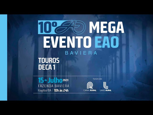 LOTE 12