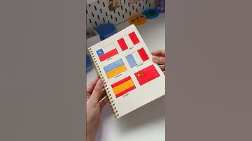 Vẽ lá cờ của tất cả các nước trên thế giới ( Phần 3 ) | Bui Ha Chi Tam