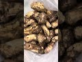 Xizang matsutake mushrooms