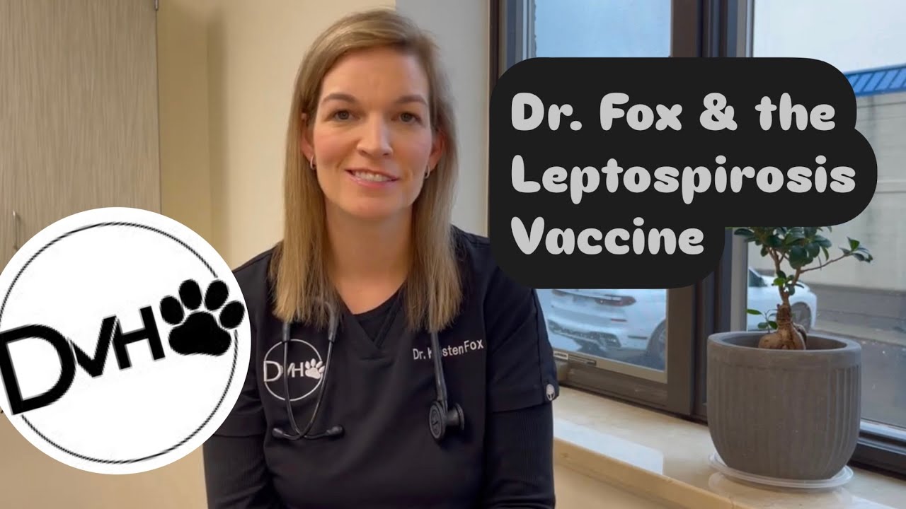 Dr. Fox Discusses the Leptospirosis Vaccine - YouTube