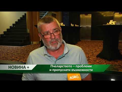 Видео: Пчеларството като бизнес: план за действие и етапи на организация