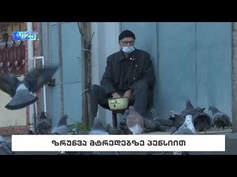 ზრუნვა მტრედებზე პენსიით