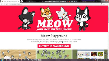Intro To Meow playground part 1