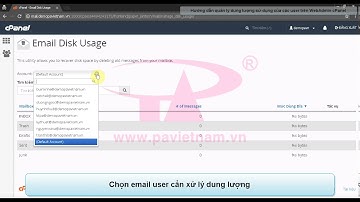 Hướng dẫn xóa mail user sử dụng tài khoản WebAdmin cPanel | P.A Việt Nam