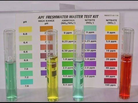 Aquarium API water testing Part 1 - YouTube