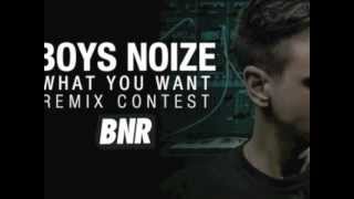 Boys Noize - What You Want (Adinath Remix)