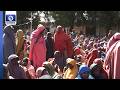 Yobe Govt Expands Support For Families Vulnerable Survivors 