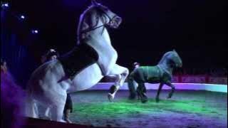 NÁRODNÍ CIRKUS Originál Berousek