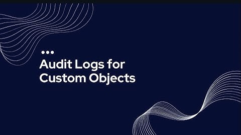 Audit Logs for Custom Objects