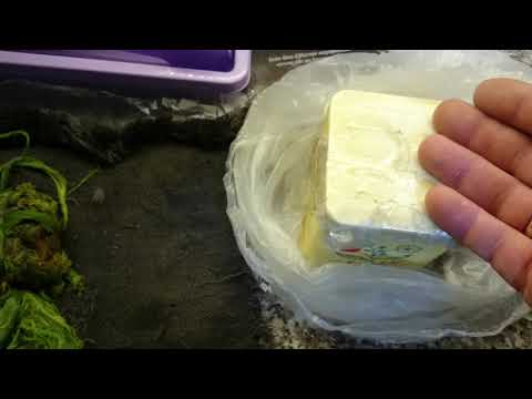 (თევზაობა).ხავსის შენახვა.თეთრი ჭიის შენახვა.