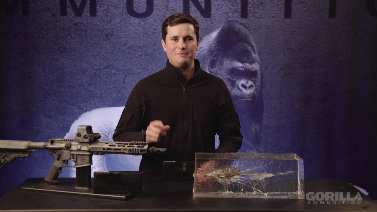 Gorilla | Hunt Product Overview