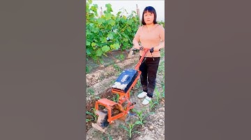 Electric micro-tillage machine ditching # Agricultural mechanization # Small ditching machine
