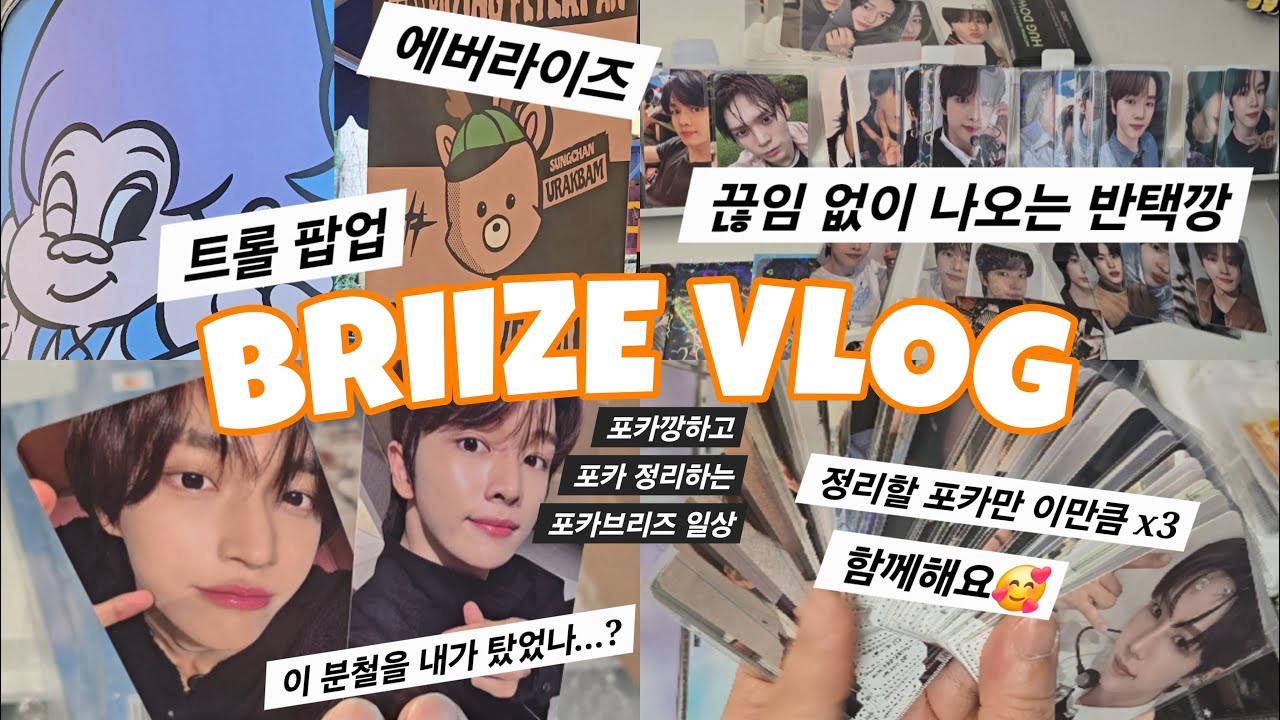 [브리즈 브이로그] 포카는 종이 아닌가요?? 안녕하세요 포카의 종입니다... | 트롤 팝업 | 에버라이즈 | 포카깡 | 반택깡 | 라이즈 포카 바인더 정리 | BRIIZE VLOG