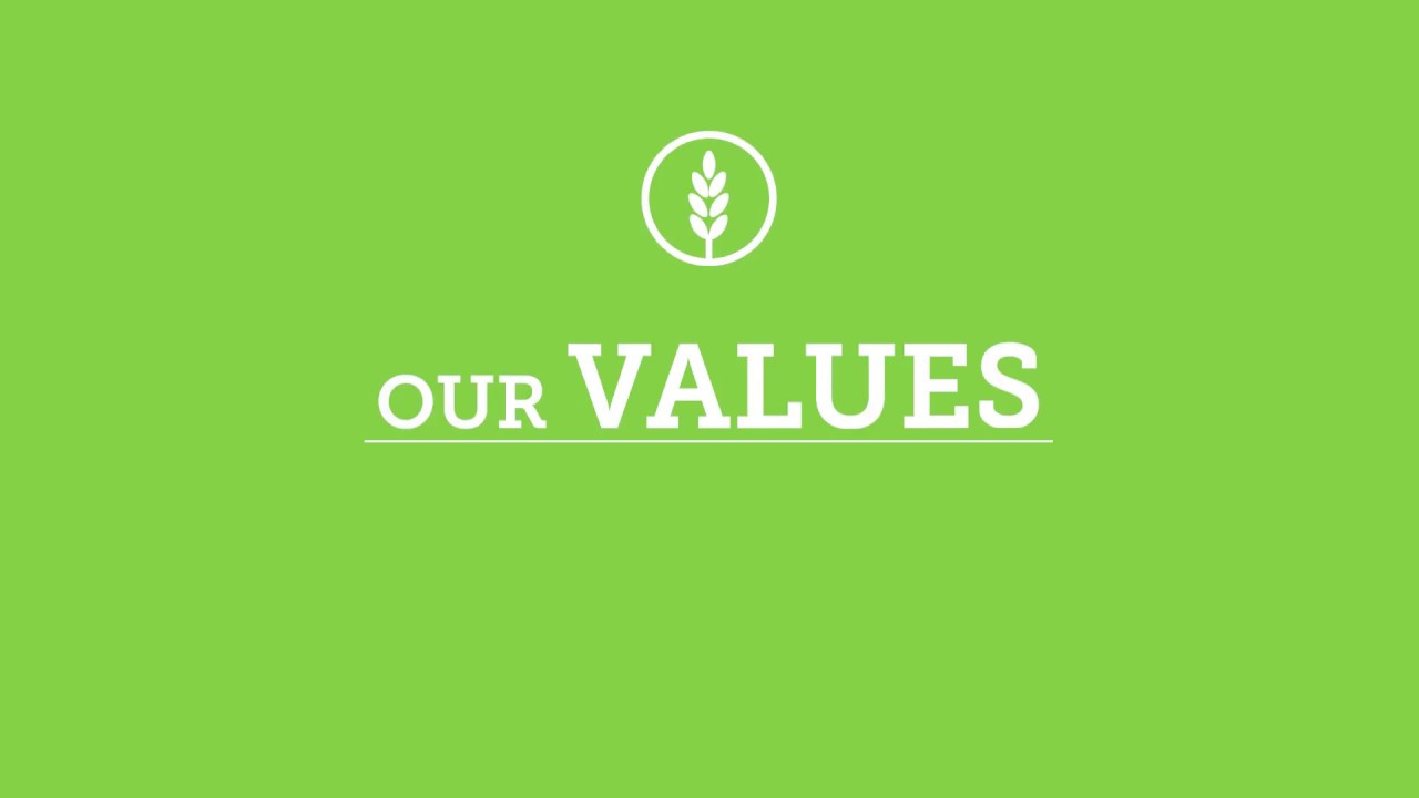 Our Values - YouTube