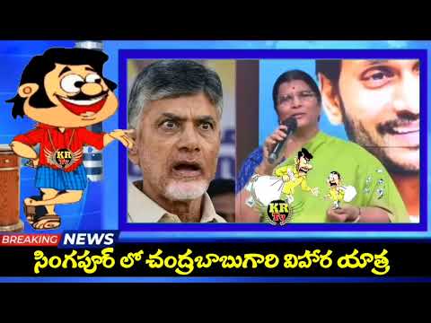 సింగపూర్ కు సీఎం చంద్రబాబు అసలు ప్లాన్ ఇదే ! I CM Chandrababu Singapore Tour I