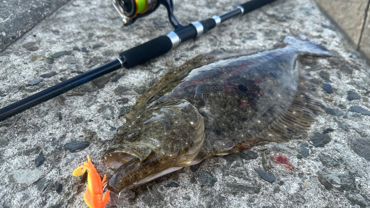 天草の内海堤防での奇跡【天草釣り】