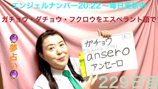 【229日目】　#鳥  ■ ガチョウ　■ ダチョウ　■ フクロウをエスペラント語で‼️  #語学 #暗記 #リズム #ガチョウ #ダチョウ #フクロウ #夢占い  #エンジェルナンバー #2022