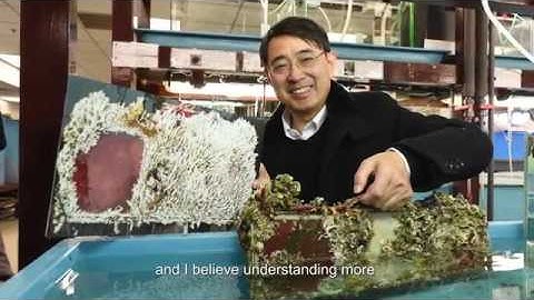 Prof Peiyuan Qian, David von Hansemann Professor of Science