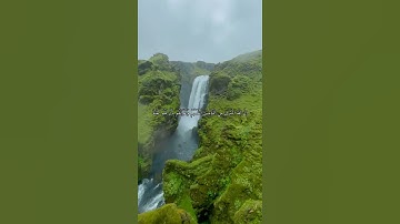 واتس أب قرآن كريم القارئ ياسر الدوسري من سورة (التوبة)