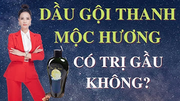DẦU GỘI THANH MỘC HƯƠNG CÓ TRỊ GÀU KHÔNG?| GDKV MIỀN BẮC YẾN NGUYỄN