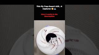 This Fly Trap Doesn’t Kill… It Captures 😳🪰 #Invention #LifeHack #Gadgets #CleanHome #SmartTech