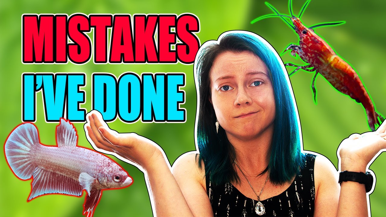 5 MISTAKES I've Done With Aquariums! YouTube