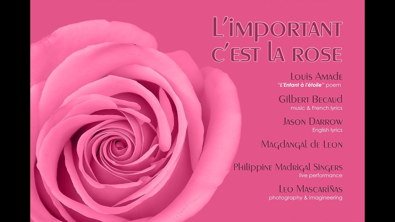 La rose est