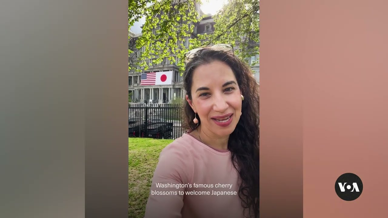 VOA’s Anita Powell Reports on White House State Dinner | VOA News