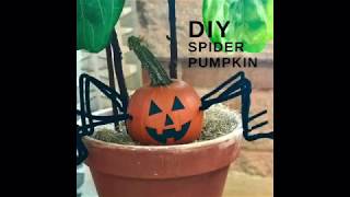 Fun Halloween Decoration Ideas: DIY Pumpkin Spider