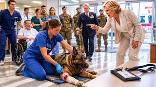 They Fired a Nurse for Treating a Wounded Military Dog… Then the Canadian Forces Showed Up
