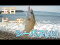 クレイジーチャーリーをスピニングタックルで投げてみた