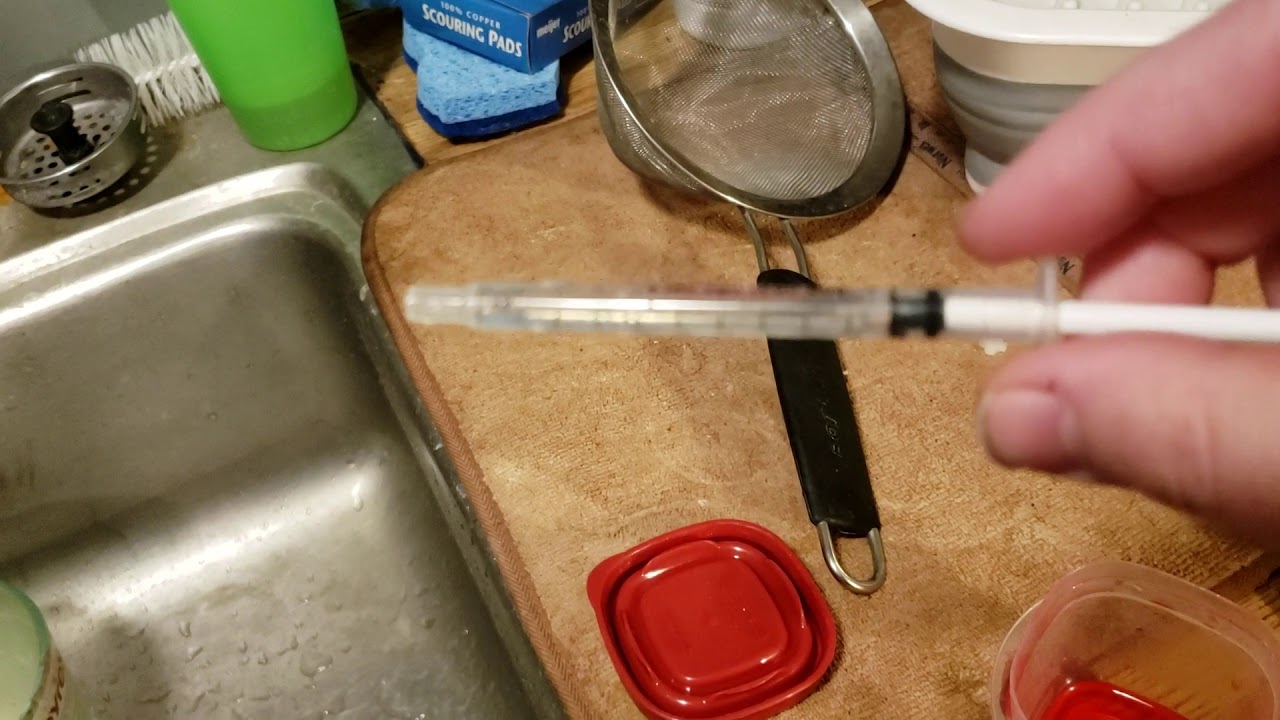 Giving medicine to pet rat for respiratory infection YouTube