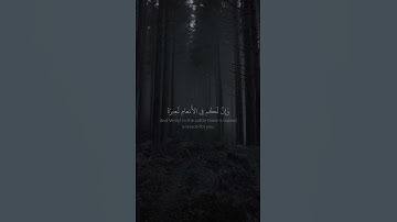 تلاوه هادئه ارح سمعك و قلبك 🎧🌹❤️| ياسر الدوسري