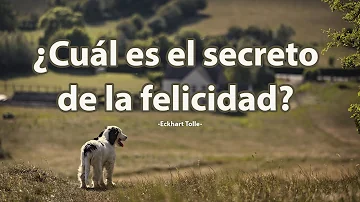 ¿Cuál es el secreto de una vida feliz?