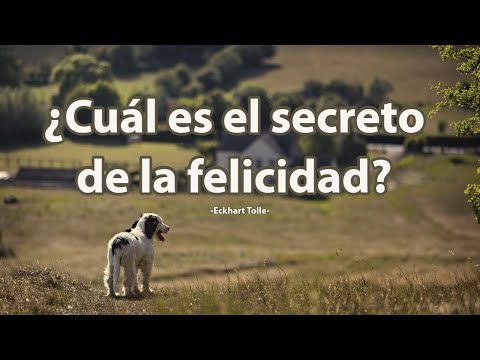 Video: Cual Es El Secreto De La Felicidad