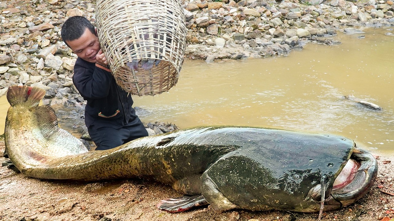 Dwarf Family Hunting Giant Fish - Trapping Stream Fish and Harvesting ...