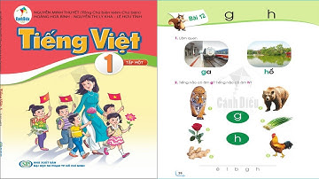 Tiếng Việt 1 Cánh Diều -  Bài 12- g và h
