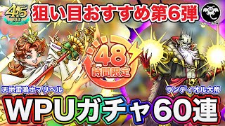 【ドラクエタクト】WPUガチャ60連☆天地雷鳴士マリベルを手に入れろ！