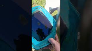 Holden Colorado Transmission service and Shudder fix RG 2018 Holden Colorado Shudder What Went Wrong