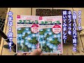 ダイソーで２個１００円で買ったネモフィラの種を蒔いてみました！今年は2袋です！
