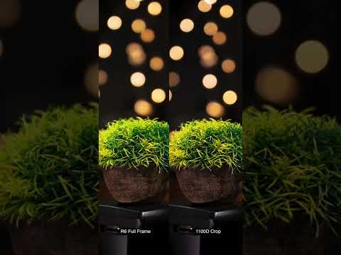 العزل بالفل فريم والكروب مالقيت بينهم فرق واضح  1100  6 50  1 4  