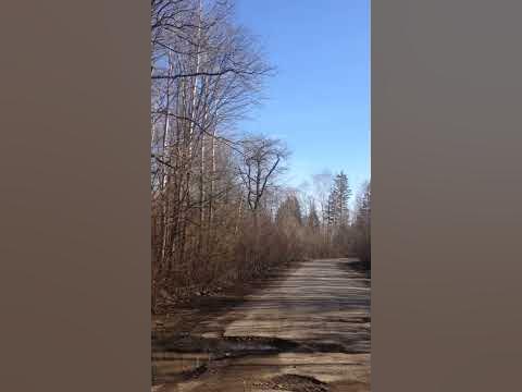 БИДЛО, ВОНО ВСЮДИ БИДЛО! - YouTube
