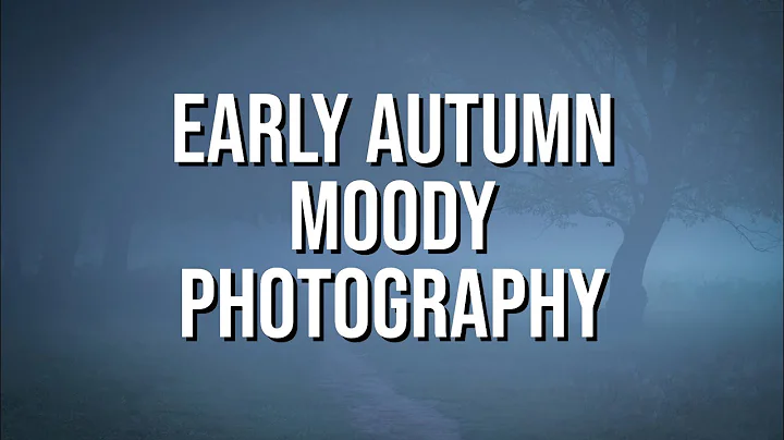 Why I use Aperture Priority Mode | Landscape & Woodland Photography