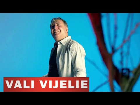 Vali Vijelie - Si daca viata mea o vrei (Colaj)