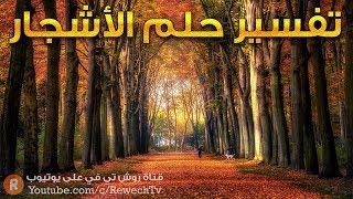 تفسير حلم الأشجار ? - ما معنى رؤية الأشجار في الحلم ؟ - سلسلة تفسير الأحلام