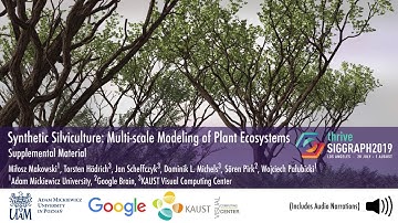 Synthetic Silviculture Multi scale Modeling of Plant Ecosystems 1