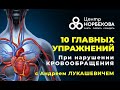 Открытый вебинар 10 главных упражнений для тех у кого нарушено кровообращение с Андреем Лукашевичем